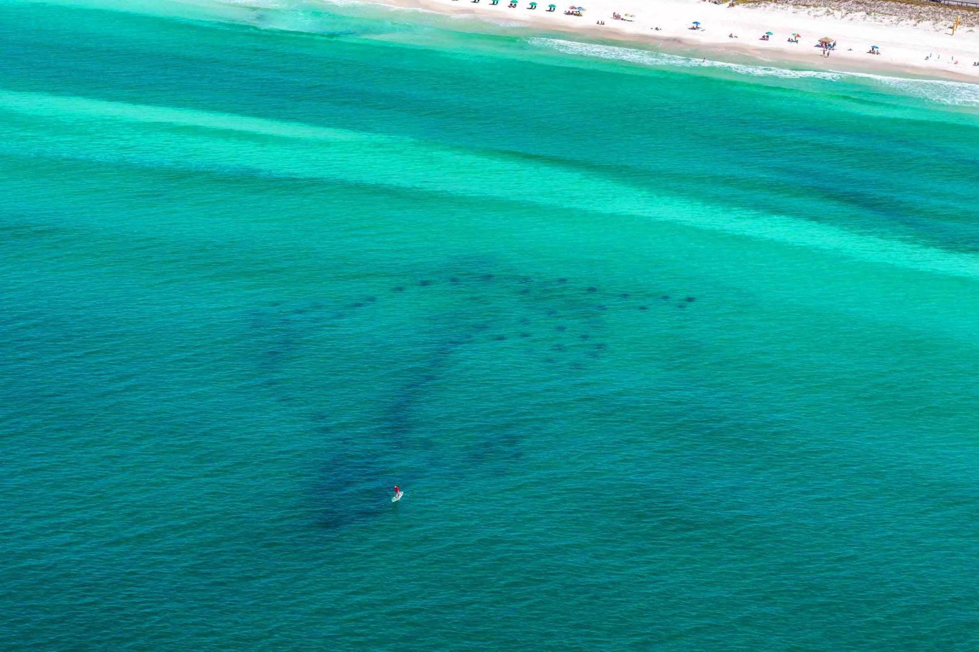 Beach Resort 406 Destin Bagian luar foto